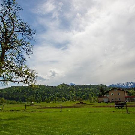 Gaestehaus Dobernig Sankt Niklas an der Drau Экстерьер фото